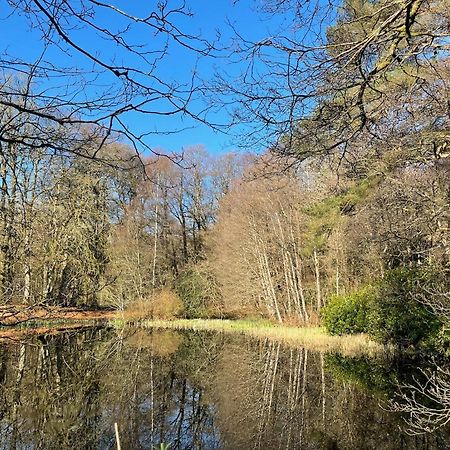 Cosy Woodland Off Grid Shepherds Hut - Rowan Villa Castle Douglas Eksteriør bilde