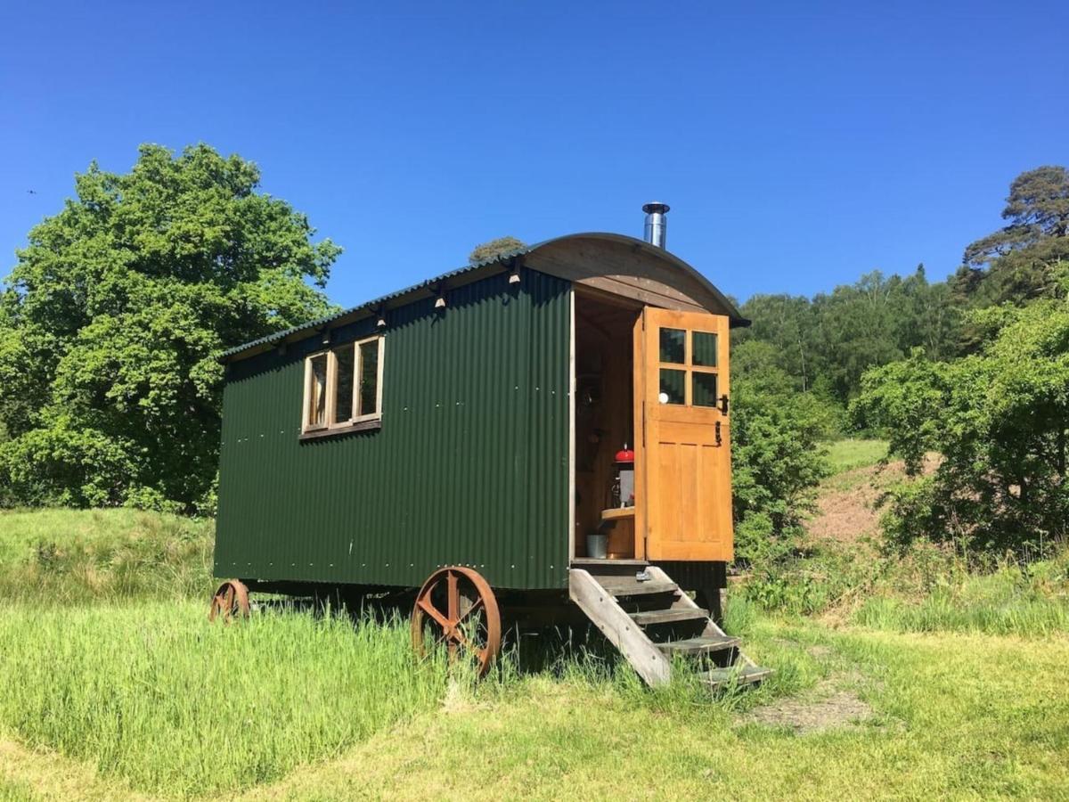 Cosy Woodland Off Grid Shepherds Hut - Rowan Villa Castle Douglas Eksteriør bilde