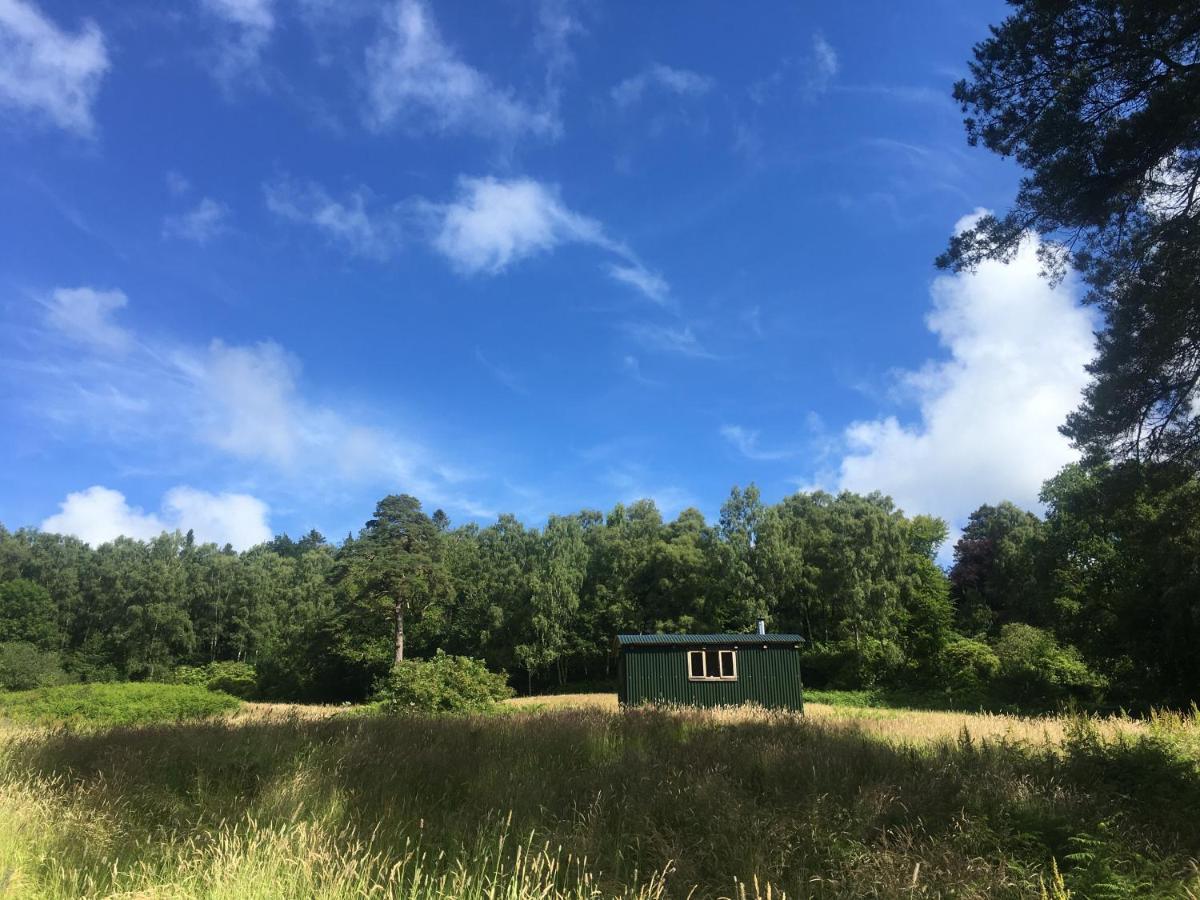 Cosy Woodland Off Grid Shepherds Hut - Rowan Villa Castle Douglas Eksteriør bilde