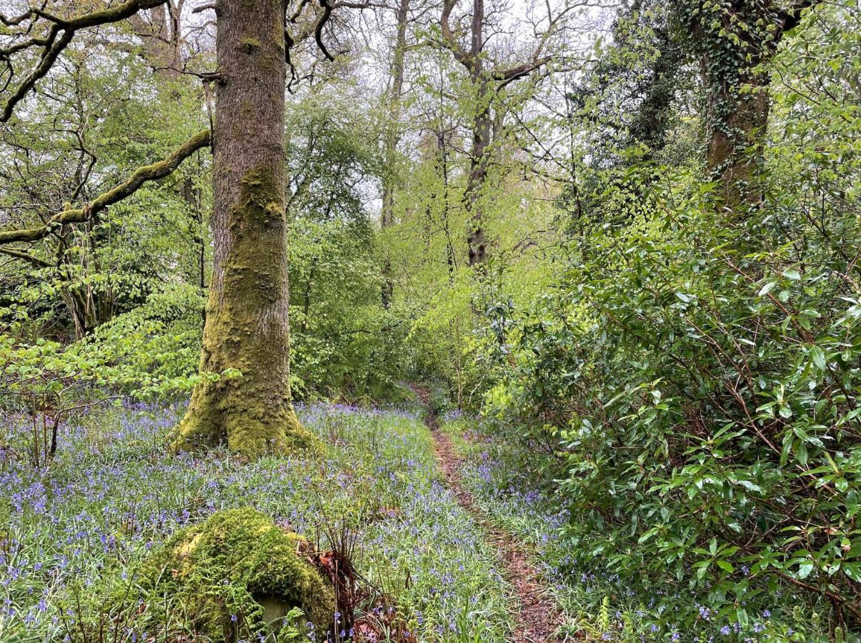 Cosy Woodland Off Grid Shepherds Hut - Rowan Villa Castle Douglas Eksteriør bilde